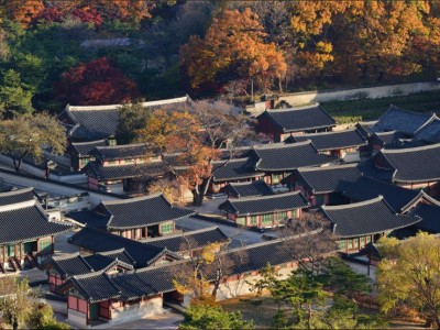 사병을 없애고, 창덕궁을 새로 짓다