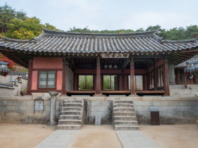 사림의 밑거름이 된 서원