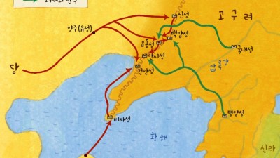 나라의 운명을 걸고 당과 전쟁을 하다