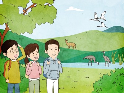 녹색 지대를 평화의 지대로 만들어요