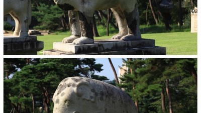 왕릉이 아닌 왕의 무덤