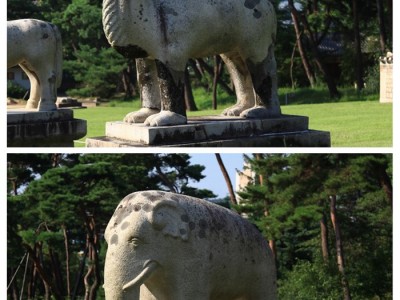 왕릉이 아닌 왕의 무덤