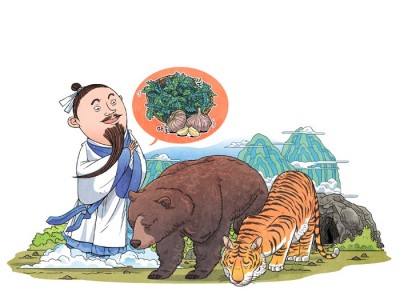 곰과 범이 찾아오다
