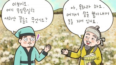 뜻밖에 목화송이를 만나다