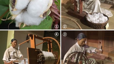 무명옷이 널리 퍼지다